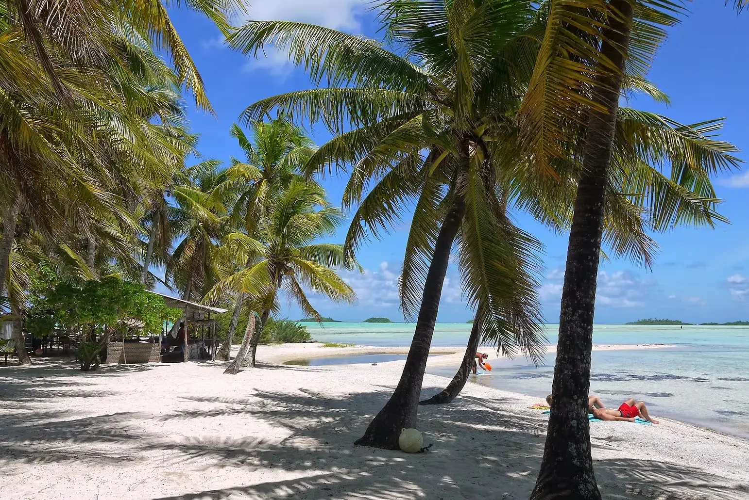 Plage à l'ombre des cocotiers